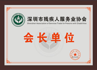 深圳市童歡笑游戲設(shè)備有限公司